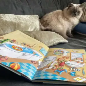 Buchseite vom Kinderbuch-Tipp Wimmelbuch mit dem Badezimmer und Katze sitzt immer noch daneben