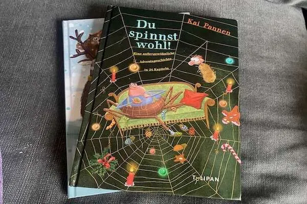 Eines unserer Adventkalender Bücher: Du spinnst wohl von Kai Pannen vom Cover