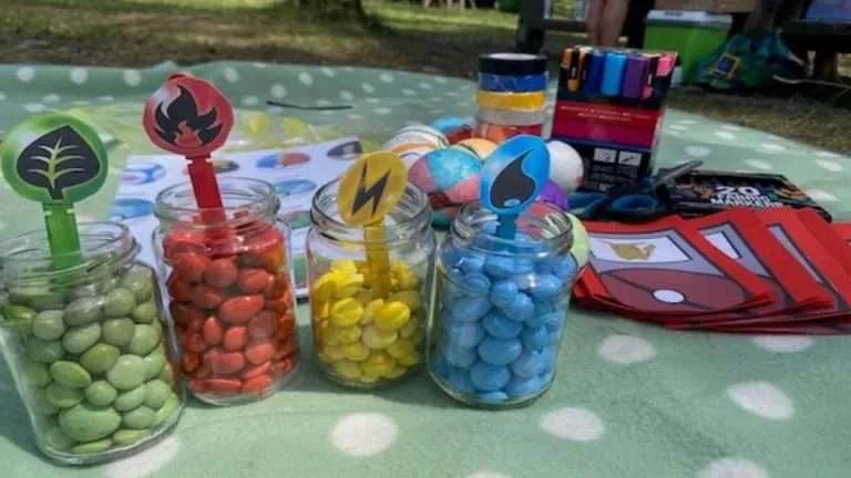 alle Materialien auf einer Picknickdecke der Pokemon Party Idee der Pokemon Trainer Ausbildung