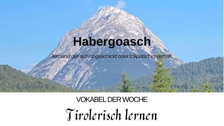 Beitragsbild mit dem Titel habergoasch