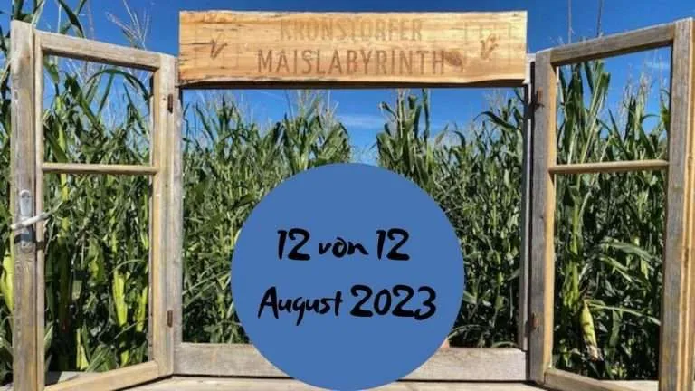 Beitragsbild mit dem Titel 12 von 12 August 2023
