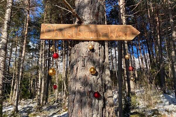 Advent in der Natur: Christbaumes - Hinweisschild an einem Baum mit Christbaumkugeln