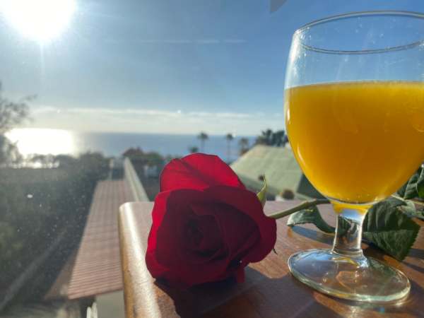 Blick auf den Atlantik mit Sonnenlicht, eine rote Rose und ein Glas frisch gepresster Orangensaft auf einem Balkon w&auml;hrend eines Familienurlaubs in Fuerteventura.