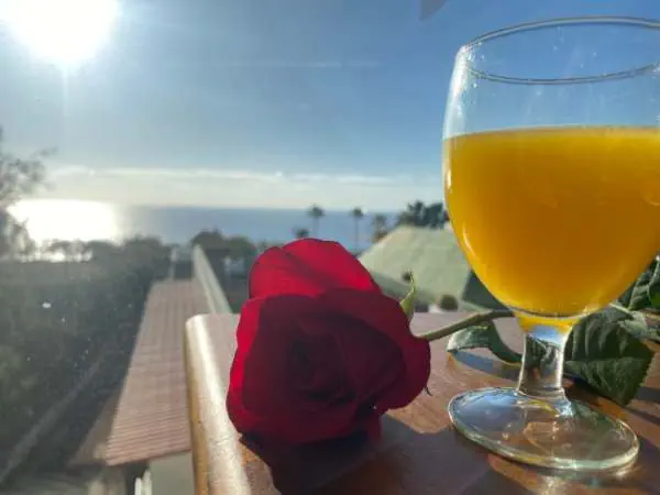 Blick auf den Atlantik mit Sonnenlicht, eine rote Rose und ein Glas frisch gepresster Orangensaft auf einem Balkon während eines Familienurlaubs in Fuerteventura.