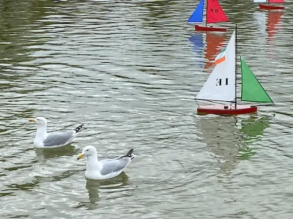 Segelboote im Jardin Luxemburg 