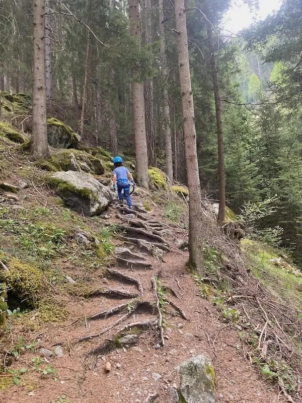 Steig im Wald