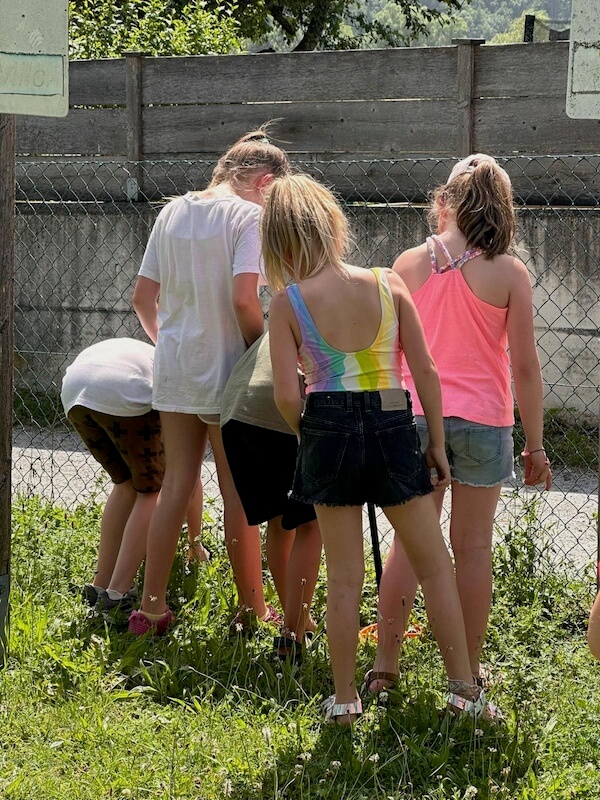 Kinder suchen gerade nach Spuren in der Wiese