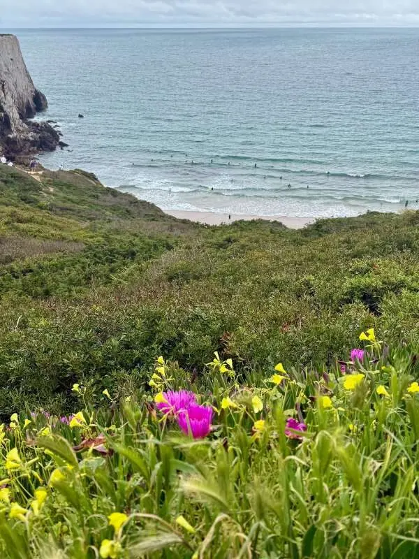 Buch mit vielen Surfern