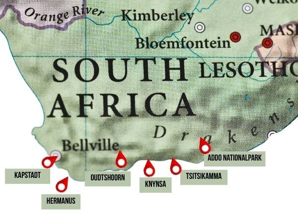 Landkarte von Südafrika mit der Reiseroute für einen Familienurlaub an der Garden Route