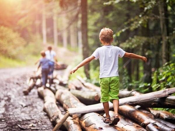 drei Kinder die gerade im Wald auf Baumstämmen balancieren, das die Konzentration bei Kindern fördert