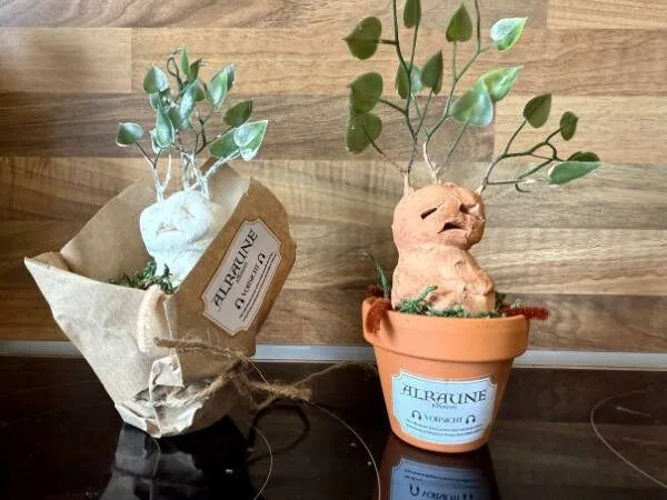 Zwei kreative Topfpflanzen in Form von Gesichtern, mit grünen Blättern, dekorativ auf Holztisch, ideal für nachhaltige Zimmerpflanzen und Kaktus-Designs, hübsche Dekoration für Zuhause und Garten.