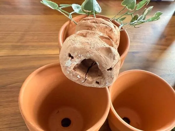 Elegant terracotta Tontopf mit der Alraune von unten zu sehen mit dem Loch für das Ticket