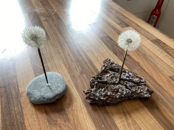 Leere Deko-Objekte mit Pusteblumen auf Holzoberfläche, kreative und natürliche Dekorationsidee, minimalistische Einrichtung.