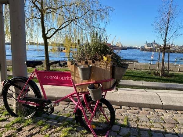 Ein pinkes Fahrrad mit Blumenkästen voller Pflanzen am Wasser in Hamburg, ideal für Natur- und Stadtliebhaber, umgeben von malerischer Flusskulisse und entspanntem Stadtambiente.