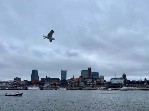 Panorama der Skyline mit Fluss und Vogelschwarm, urbanes Stadtbild, Wolkenhimmel, moderne Gebäude, Wasserlandschaft, Großstadt Atmosphäre, Himmel, Maritime Umgebung, Naturelemente, Stadt am Wasser.