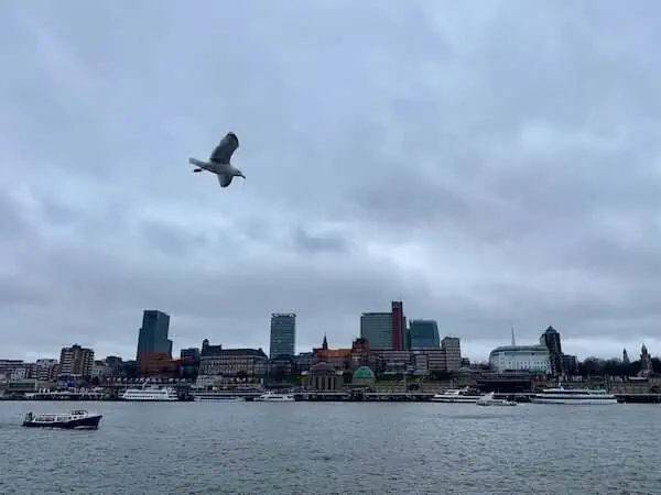 Panorama der Skyline mit Fluss und Vogelschwarm, urbanes Stadtbild, Wolkenhimmel, moderne Gebäude, Wasserlandschaft, Großstadt Atmosphäre, Himmel, Maritime Umgebung, Naturelemente, Stadt am Wasser.