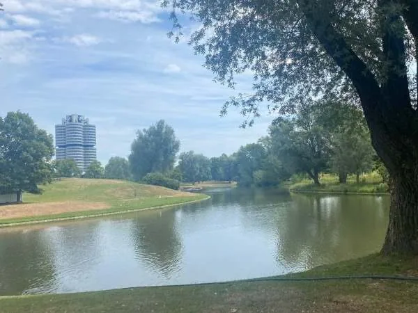 Olympiapark See mit einem Baum im Vordergrund