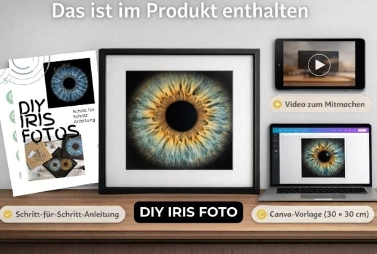Detailaufnahme eines Iris-Fotos, ideal für DIY-Projekte und kreative Bastelideen.