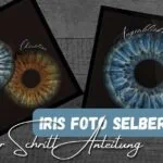 Beitragsbild mit dem Titel "Iris Foto selber machen" sChritt für schritt Anleitung mit 2 Iris Bildern in schwarzem Rahmen im Hintergrund mit einmal einer Iris und einmal 2 Iris