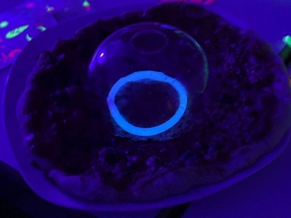 Ufo Pizza zur Glow in the Dark Party mit einem leuchtenden Knicklicht