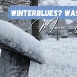 Beitragsbild mit dem Titel: Winterblues? Was tun? Meine Bucketlist! und im Hintergrund Schneebedeckter Baumstumpf im Winter mit Schnee bedeckt, passend zum Thema Winterblues und Tipps gegen Stimmungstief in der dunklen Jahreszeit.
