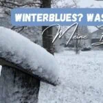 Beitragsbild mit dem Titel: Winterblues? Was tun? Meine Bucketlist! und im Hintergrund Schneebedeckter Baumstumpf im Winter mit Schnee bedeckt, passend zum Thema Winterblues und Tipps gegen Stimmungstief in der dunklen Jahreszeit.