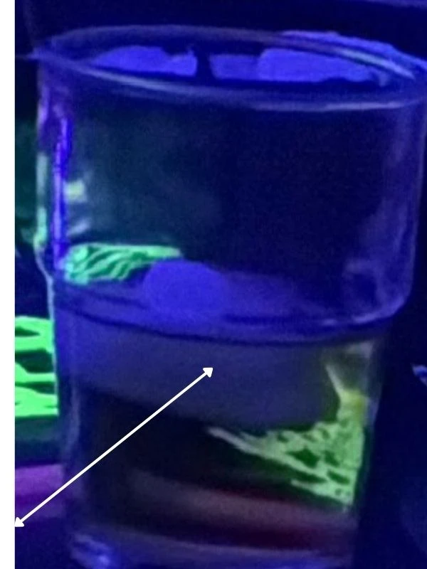 Ultra-Leuchtende Gläser perfekt für Schwarzlicht und Glow-in-the-Dark-Partys, ideal für Neon und Schwarzlicht auf Geburtstags- oder Party-Events.