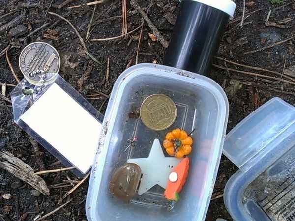 Ein Kinder-Schatzsuche-Set mit einer Schatztruhe, einer kleinen orangefarbenen Figur, einem Stern, einem Stein und einer Münze, bereit für eine spannende Schnitzeljagd im Freien.
