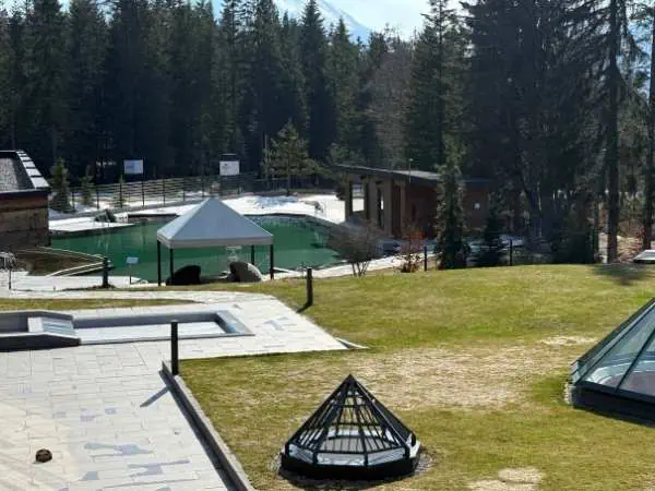 Badeanlage im Freien mit Sauna, Liegewiese und Blick auf den Wald, ideal für Entspannung und Erholung in der Natur.