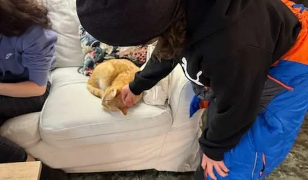 Familienaktivitäten in Prag mit Kindern: Tierbesuch und Spielspaß in der tschechischen Hauptstadt.