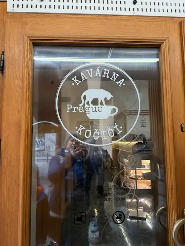 Eingang zum Katzencafe mit dem Logo an der Glastür