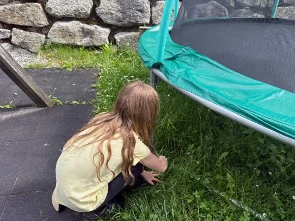 Kinder beim Spielen im Garten, entdecken die Natur und erkunden die Umgebung auf einer Wiese neben einem Trampolin, förderndes Spiel für Kinder, Outdoor-Aktivitäten für Familien, kindgerechte Freizeit.