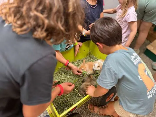 Kinder streicheln Kaninchen im Streichelzoo des Kinderhotel Felben