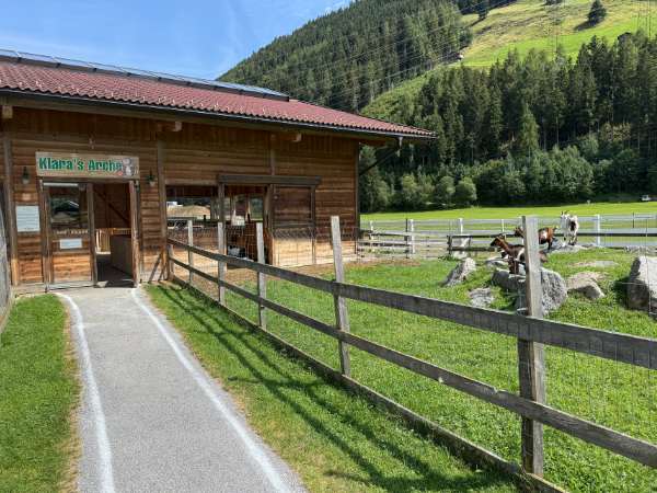 Klaras Arche, der Streichelzoo im Kinderhotel Felben