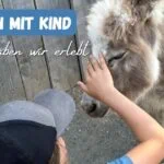 Kleines Kind streichelt ein Pony im Familienurlaub in Kärnten, perfekt für Kinder und Familienausflüge.