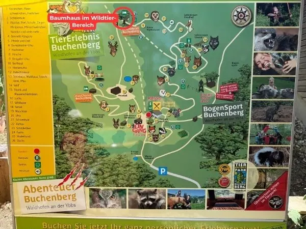 Übersichtsplan des Tierparks Buchenberg mit markiertem Baumhaus im Wildtierbereich