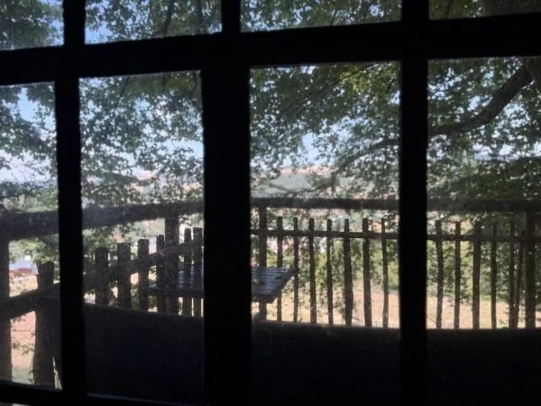 Blick durch das Fenster des Baumhauses auf die Baumkronen und die Landschaft