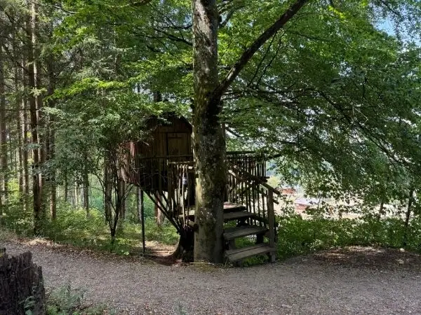 Schmaler Weg mit Treppenstufen zum Baumhaus im Tierpark Buchenberg