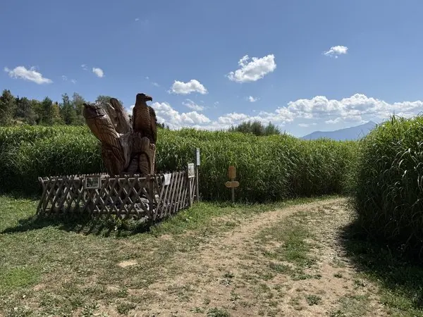 Kunstvolle Holzskulptur inmitten eines grünen Feldes bei sonnigem Himmel, ideal für Natur- und Kunstliebhaber.
