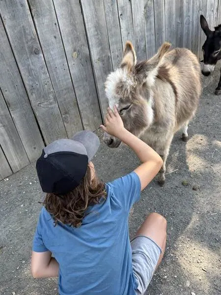 Kind streichelt einen Esel im Eselpark Maltatal