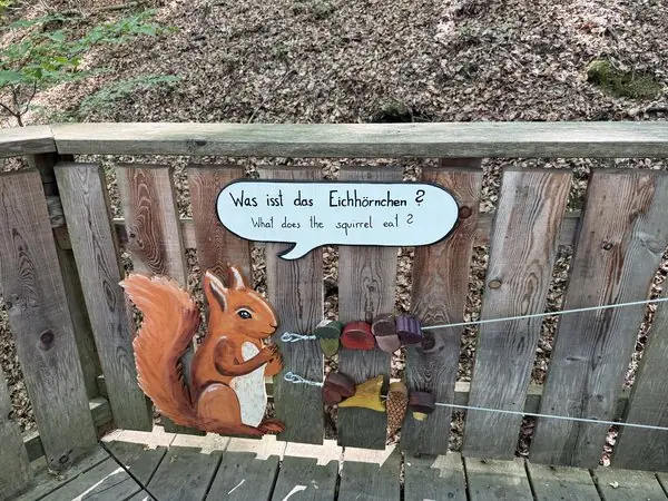 Kinderschild mit Eichhörnchen im Familywald, zeigt spielerisch was Eichhörnchen fressen