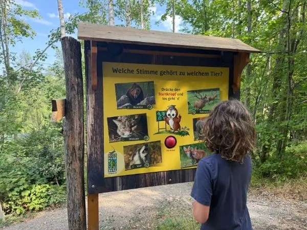 Interaktive Tierstimmen-Station für Kinder im Tierpark Buchenberg