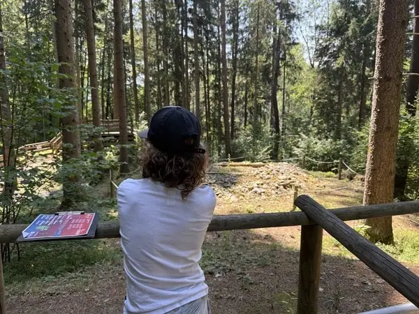 Frau mit dunklem Hut und weißen T-Shirt, die in einem Wald steht und auf die Natur blickt, umgeben von hohen Bäumen und Sonnenlicht.