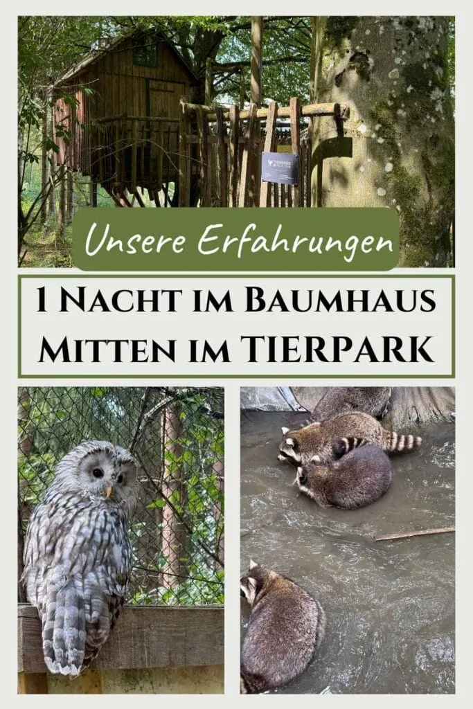 Pin mit dem Titel "1 Nacht im Baumhaus mitten im Tierpark - Unsere Erfahrungen" und je einem Bild mit einem Kauz und Waschbären und dem Baumhaus mit der Hängebrücke