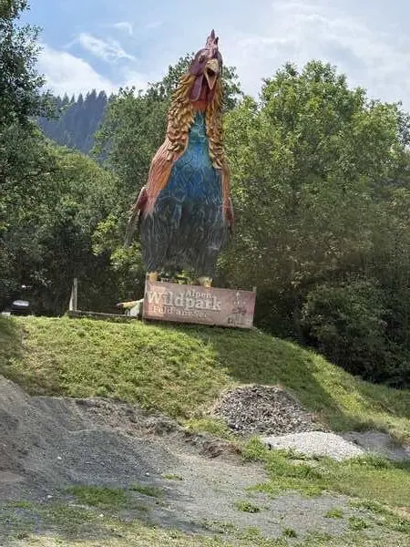 Riesige Hahn-Statue mit Schild "Alpen Wildpark Feld am See" am Eingang