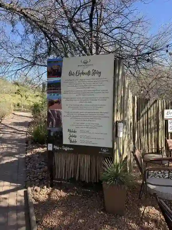 Infoschild "Our Elephants Story" der Buffelsdrift Game Lodge mit Namen und Hintergrund der drei Elefanten
