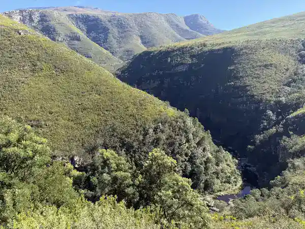 Tiefe grüne Bergschlucht mit Fluss entlang der Route 62 zwischen Gansbaai und Oudtshoorn