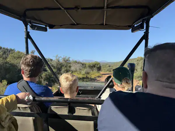 Blick aus dem offenen Safari-Fahrzeug der Buffelsdrift Game Lodge auf die Buschlandschaft