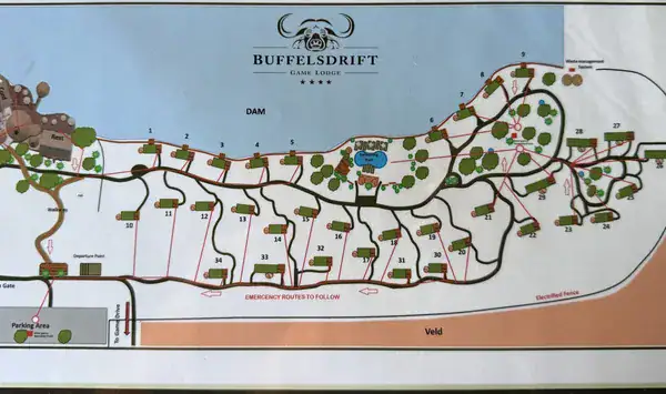 Lageplan der Buffelsdrift Game Lodge mit nummerierten Zelten, Familienzelten und Wasserloch