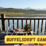 Beitragsbild mit dem Titel "Buffelsdrift Game Lodge - Safari mit Kind in Oudtshoorn" mit einem Wasserloch im Hintergrund und einem Frühstückstisch im Vordergrund